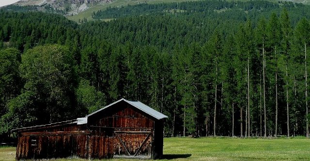 D2010_0712_162344AA.JPG