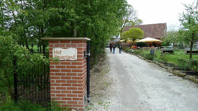 P1000256.JPG