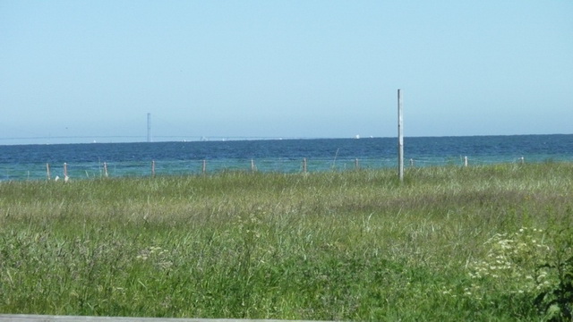 P1030165.JPG