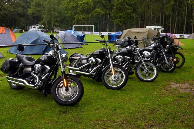 Welfen_Rally_2011_241.jpg