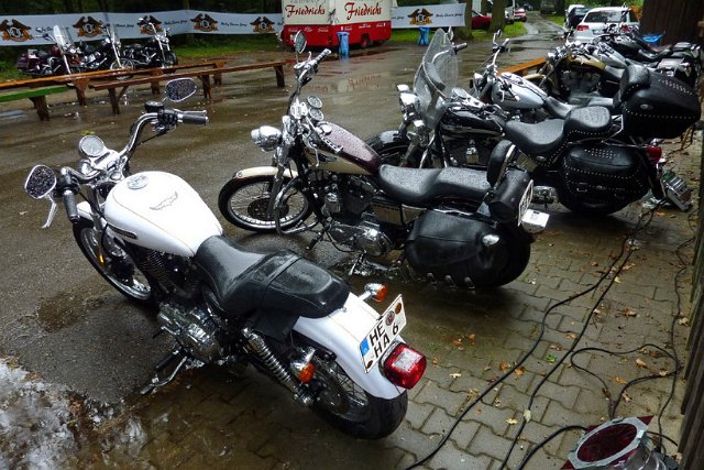 Welfen_Rally_2011_244.jpg