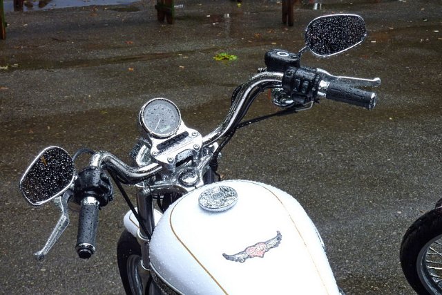 Welfen_Rally_2011_245.jpg