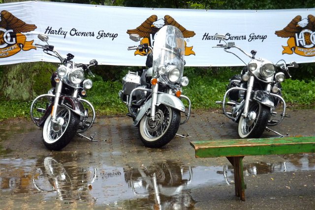 Welfen_Rally_2011_246.jpg