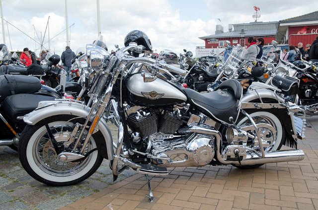 030_Springer.jpg - Copyright Ebbo Borm 2011