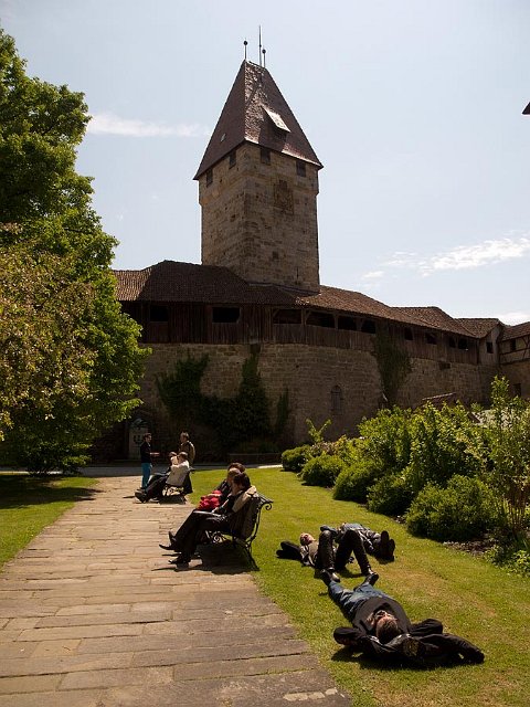 244.jpg