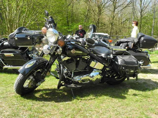 DSCN0430.jpg -                                