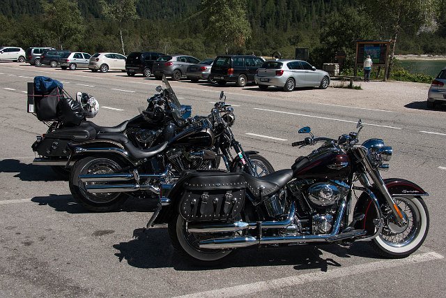 DSC_2010.jpg