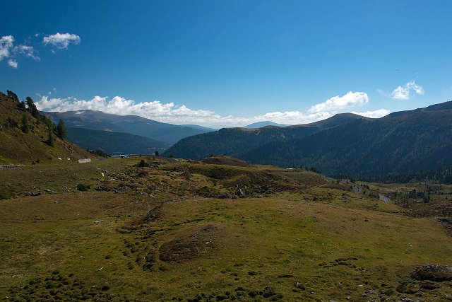 DSC_2124.jpg