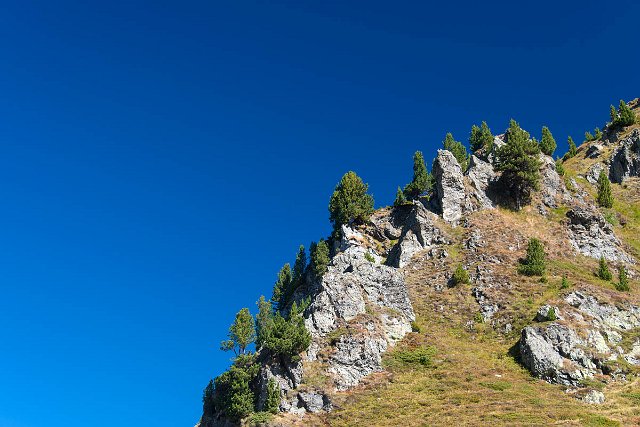 DSC_2126.jpg