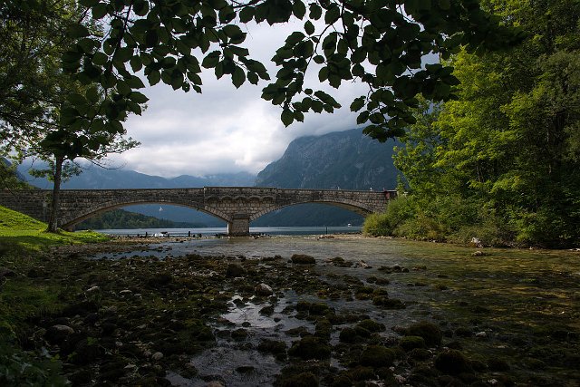 DSC_2256.jpg