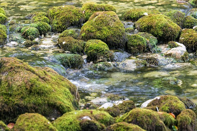 DSC_2260.jpg