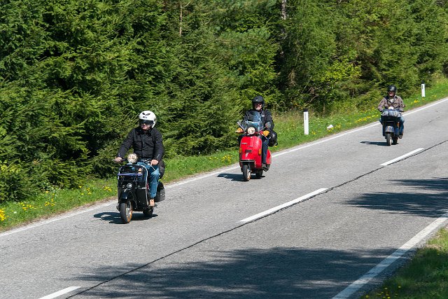 DSC_2342.jpg