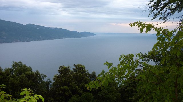 P1050223.jpg
