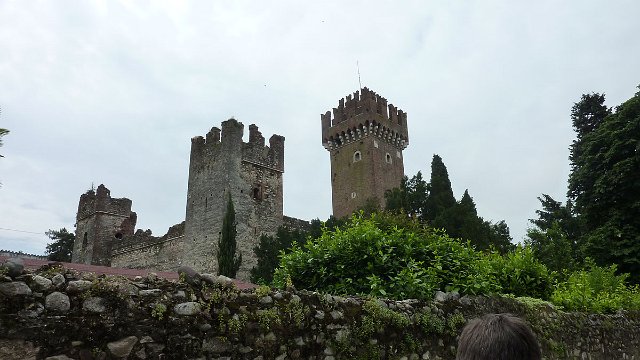 P1050270.jpg