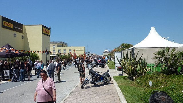 P1050470.jpg