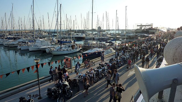 P1050494.jpg