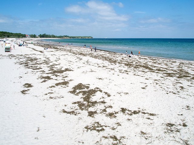 DSCN2077.jpg