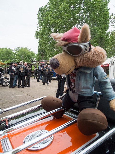 DSCN1933.jpg