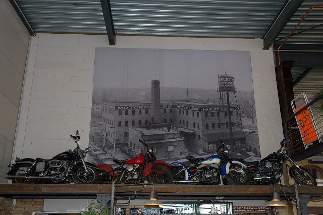 DSC_3348.jpg
