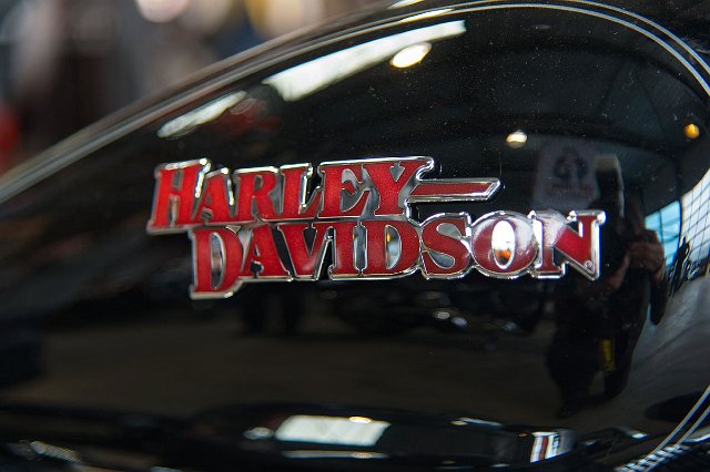 DSC_3367.jpg