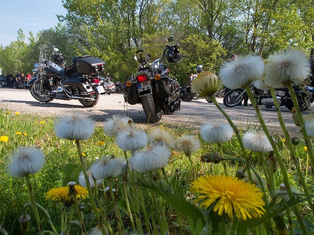 DSCN1793.jpg