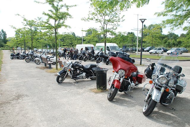 DSC_0357.jpg