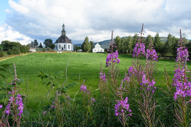DSC_1023.jpg