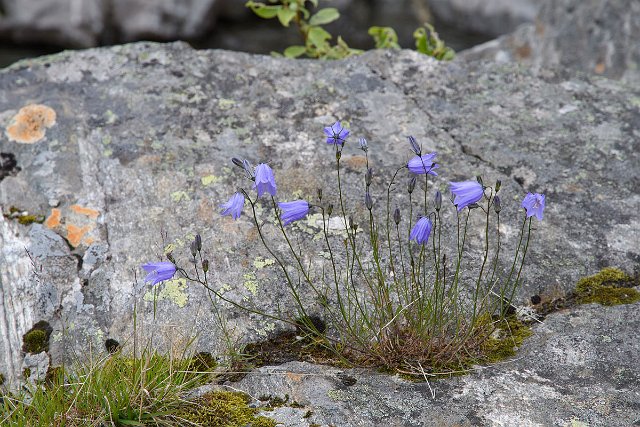 DSC_1180.jpg