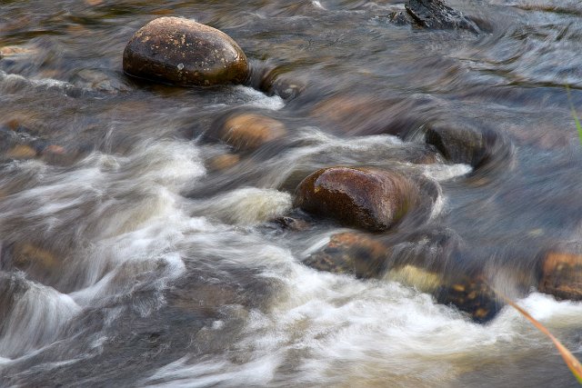 DSC_1267.jpg