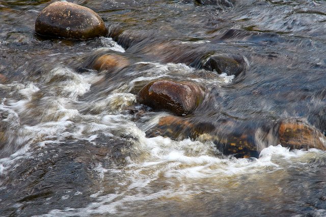 DSC_1270.jpg