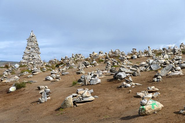 DSC_1321.jpg