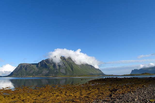 DSC_1444.jpg
