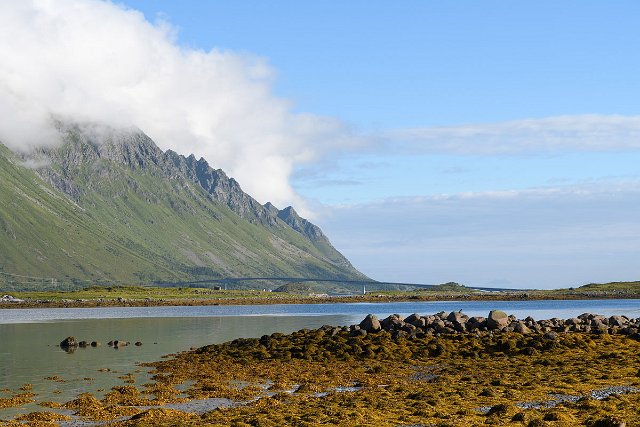 DSC_1451.jpg