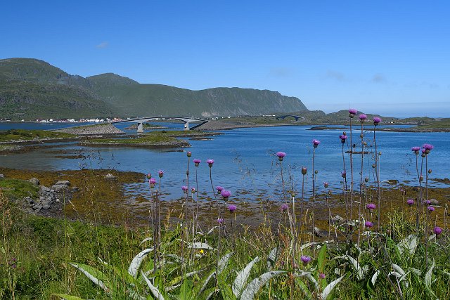 DSC_1507.jpg