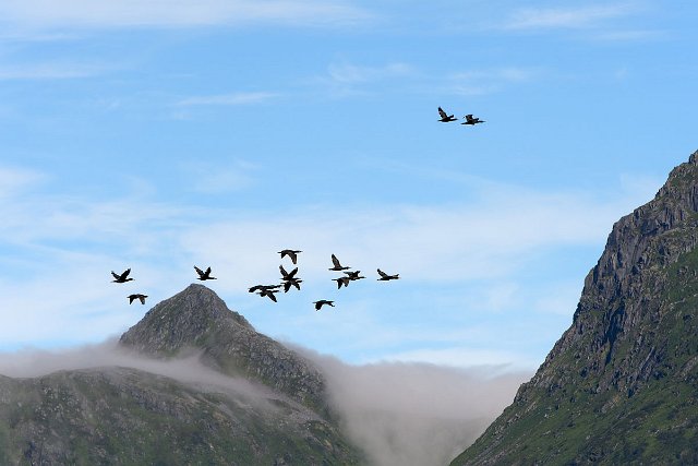 DSC_1764.jpg