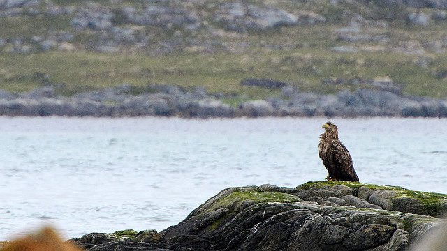 DSC_1903_1366x768.jpg