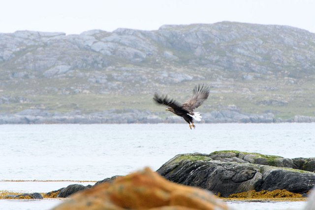 DSC_1925.jpg
