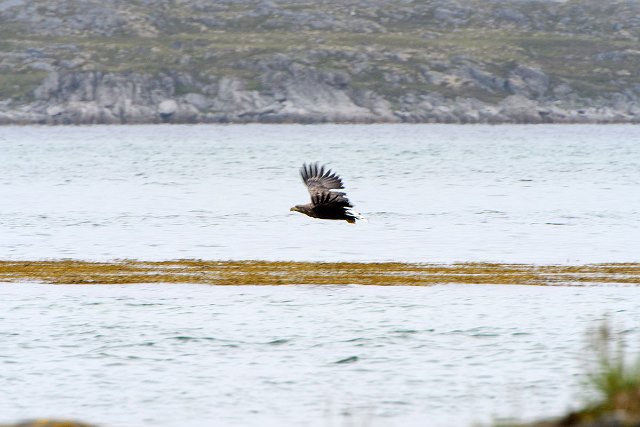 DSC_1941.jpg