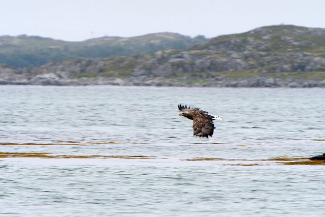 DSC_1959.jpg