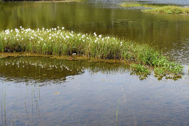 DSC_2040.jpg