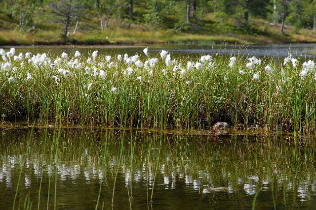 DSC_2041.jpg