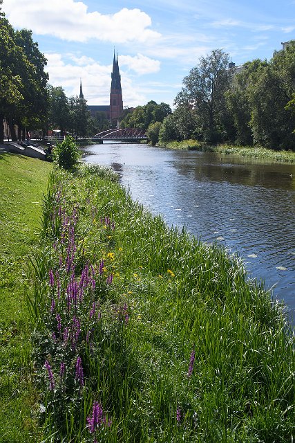 DSC_2253.jpg