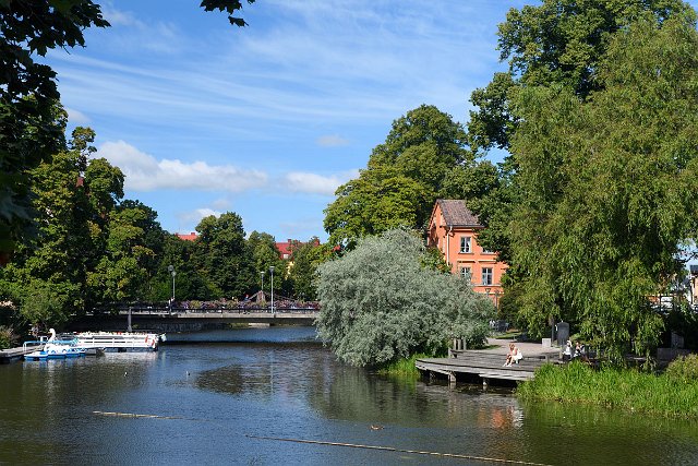 DSC_2263.jpg