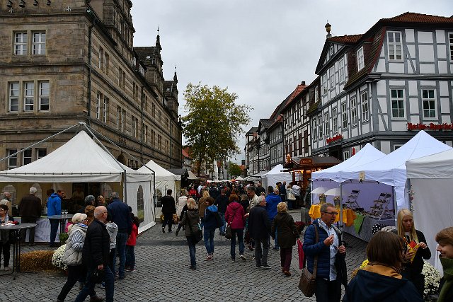 DSC_2974.jpg