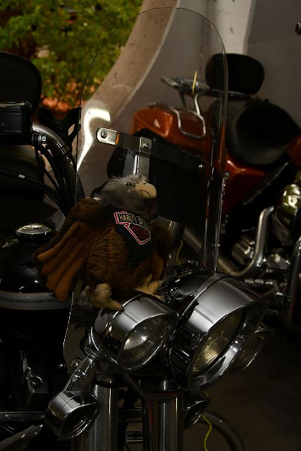 DSC_2986.jpg