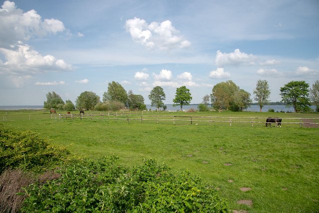 Spree_Müritz_0009.jpg