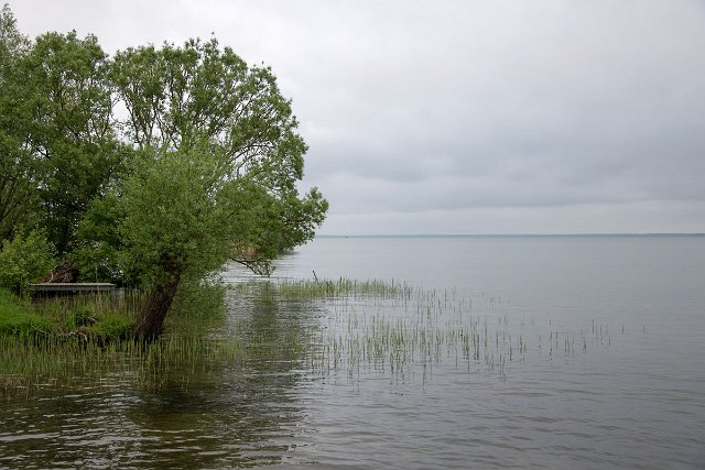 Spree_Müritz_0087.jpg