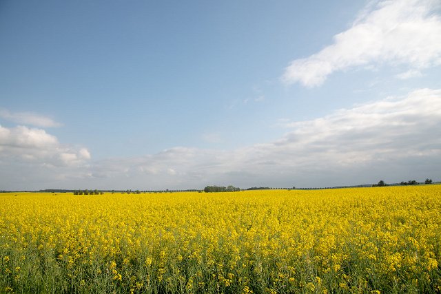 Spree_Müritz_0105.jpg