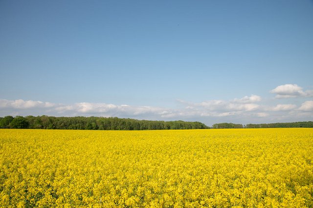 Spree_Müritz_0107.jpg