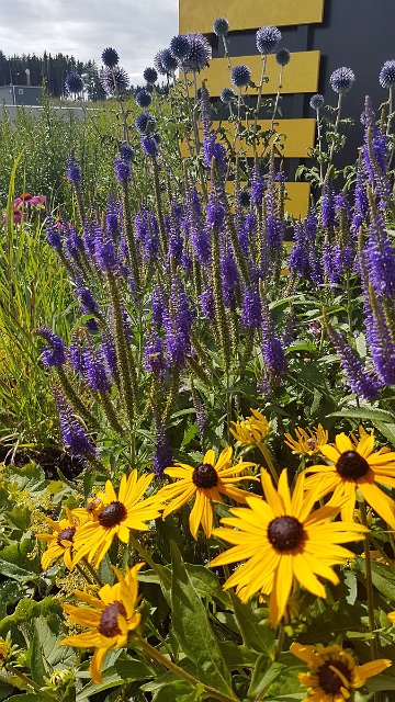 20190714_153713.jpg